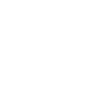 Logo Autovidal