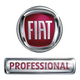 Fiat professional